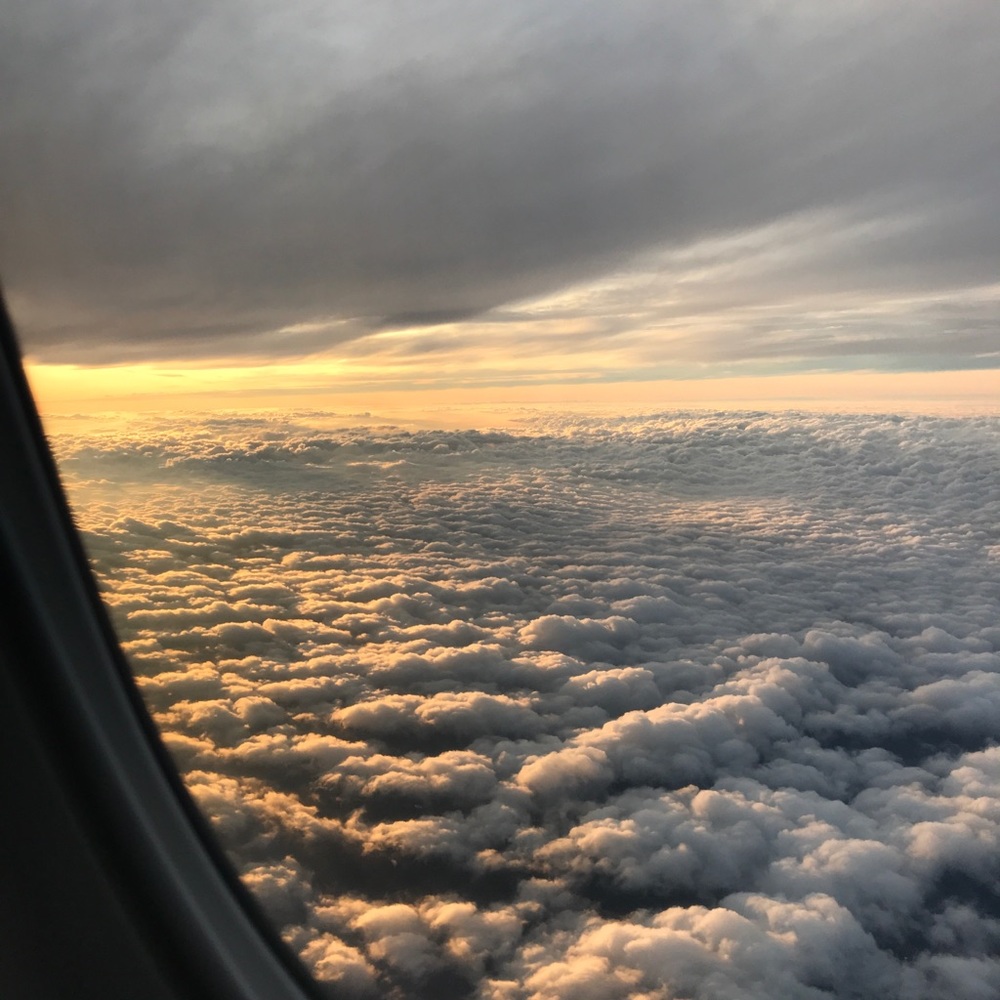 Meet your Posher, Carly